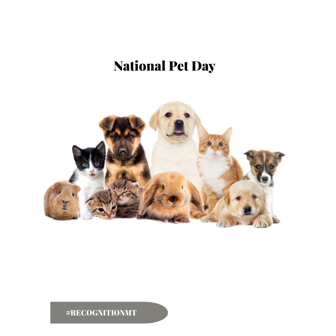 Recognitionmt's tweet image. Celebrating National Pet Day! 🐾 We love working pet trade shows, offering top-notch event staff to help your brand shine. From hosts to promotional models, we bring your pet-related events to life! 🐶🐱 

#NationalPetDay #PetExpos #RecognitionModelAndTalent
