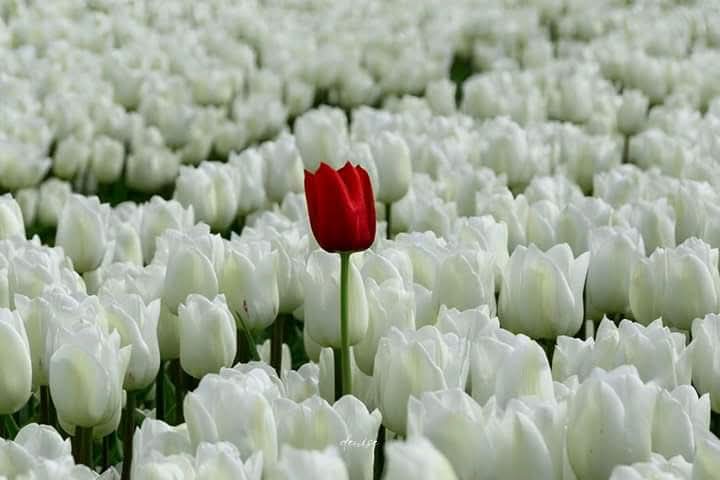 ح سے حمزہ tweet media