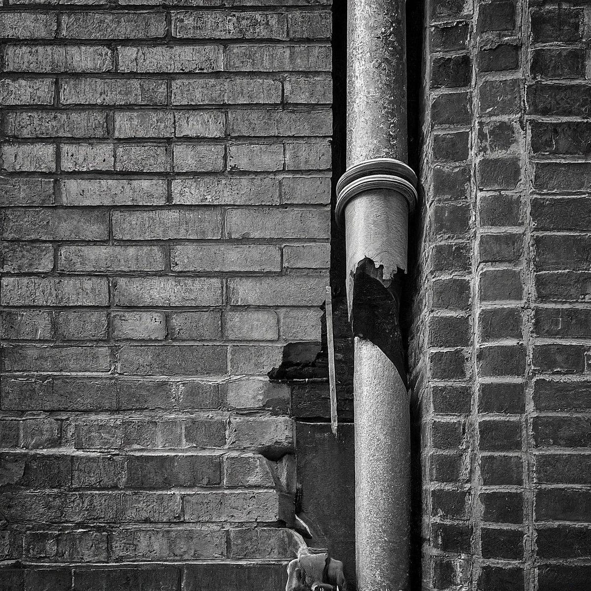 Cogo Capital tweet media