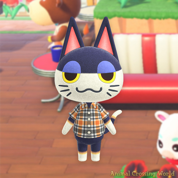 ACWorldBlog's tweet photo. Happy Birthday to Punchy! 🎉😺 https://t.co/sfYojnxRuz