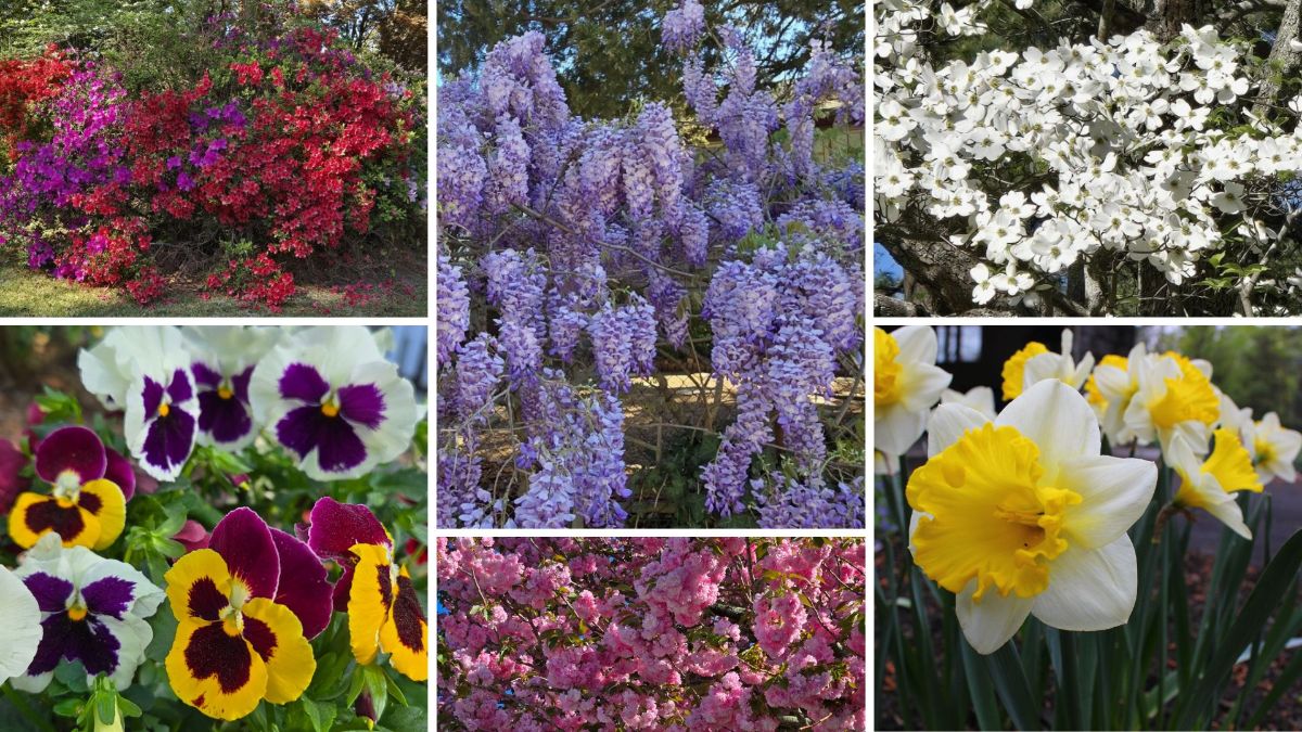 April 2025 Update - mailchi.mp/e84b979c6a04/a… is in the air. Read our latest update.