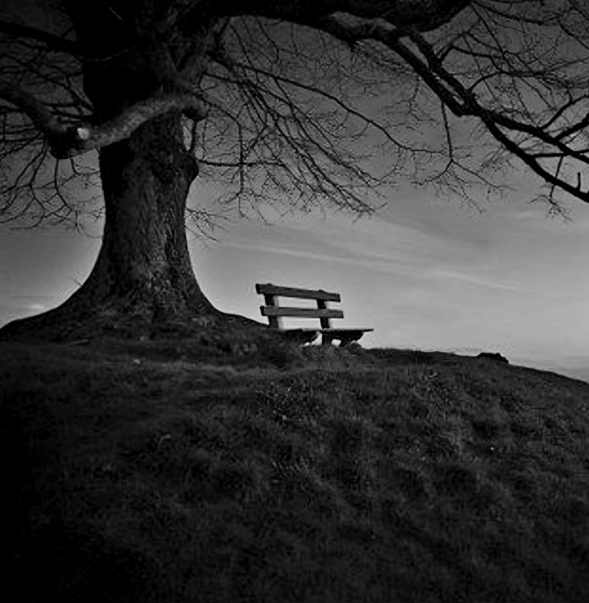 "Llévate bien con la soledad, 
  y, créeme, es buena amiga,
  no te miente, te escucha en 
  silencio, y hasta te muestra tu 
  valentía, esa valentía que un 
  día pensaste que no existía".
- Cristina Barrientos