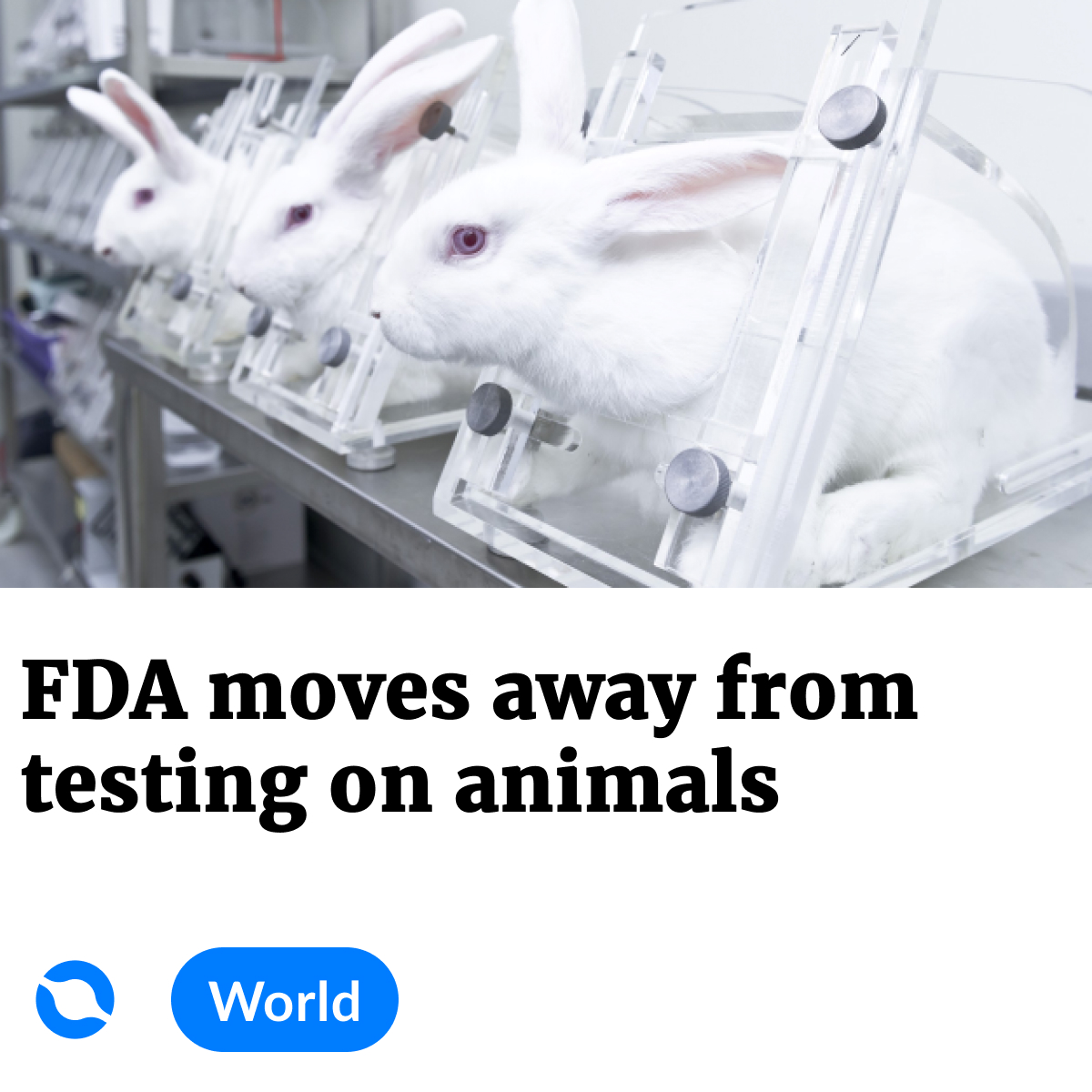 TheOtherweb tweet media