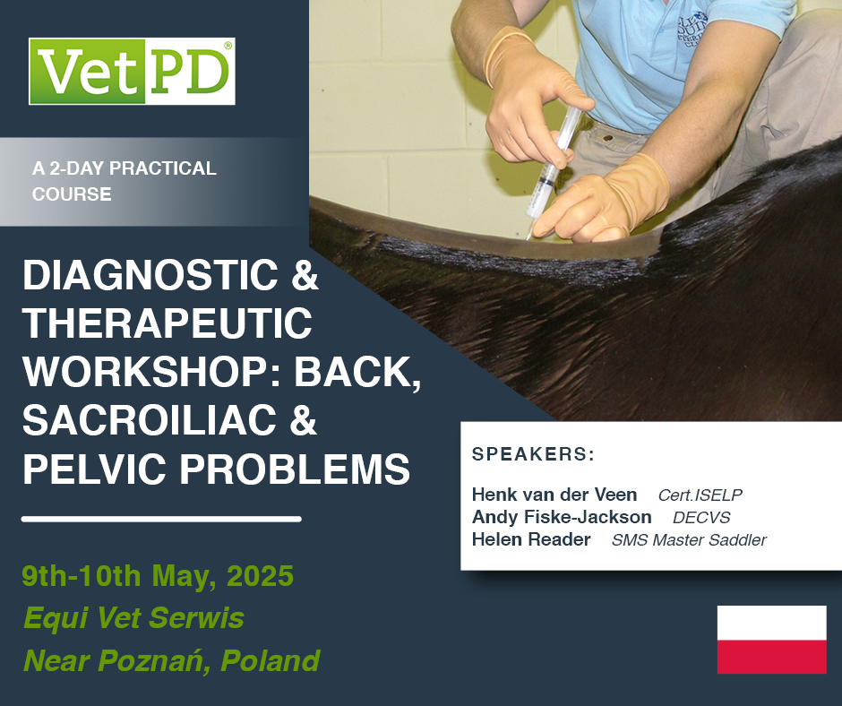 COURSE CONFIRMED! Diagnostic &amp; Therapeutic Workshop: Back, Sacroiliac &amp; Pelvic Problems  will take place on 9th-10th May near Poznań, Poland. 
loom.ly/yfh5JZM

#equinevet #equineveterinarian #horsevet #veterinaryCE #veterinarycontinuingeducation #vetce