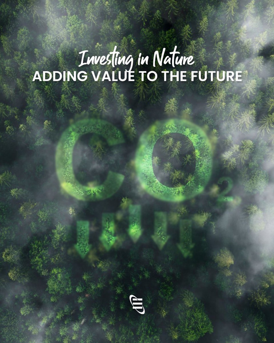 As Erciyas Holding, we steer a sustainable future and resolutely continue our mission to protect the environment with nature-friendly projects. We use resources efficiently by reducing our electricity, natural gas and water consumption by 1% every year; we aim to reduce our