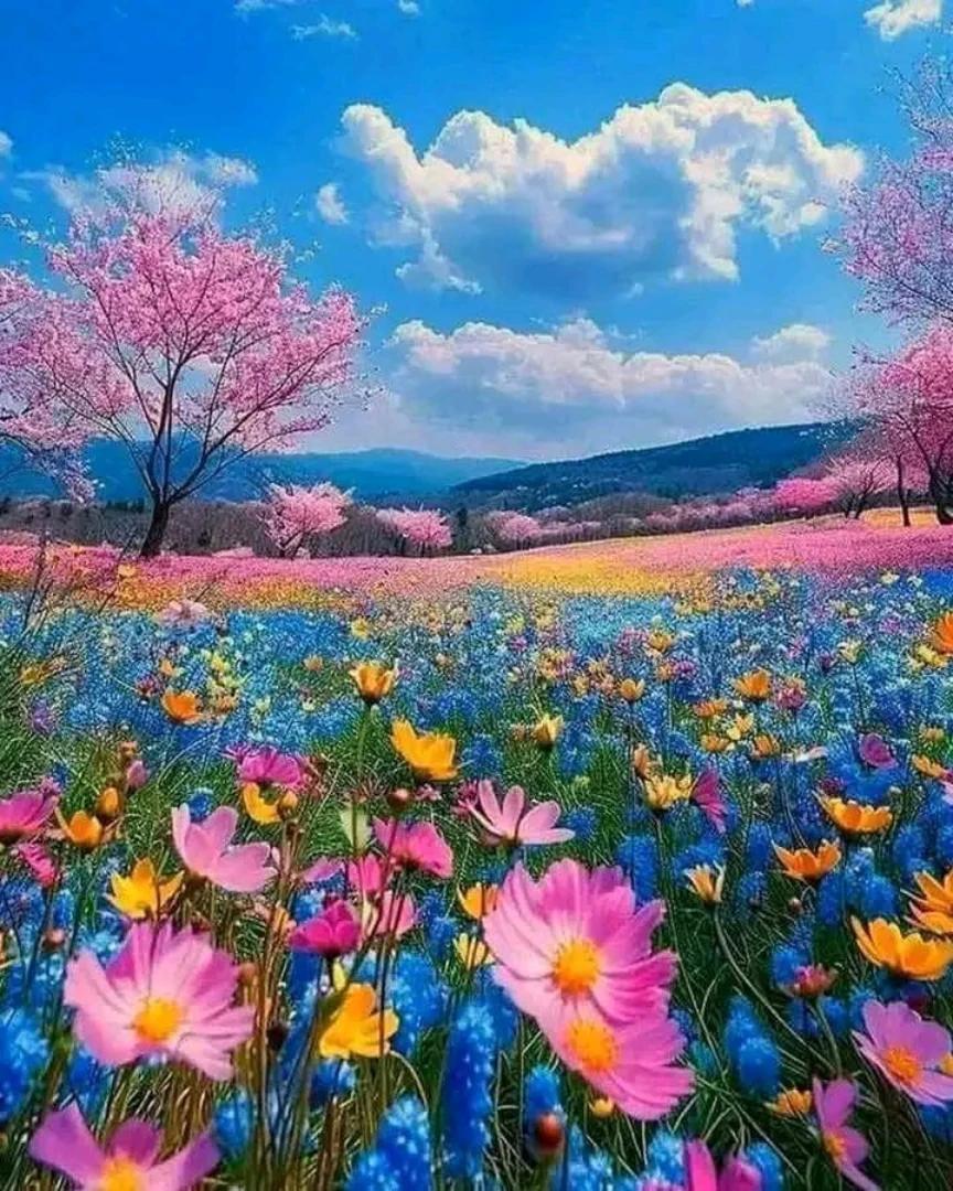 Lost in a sea of colors, where flowers bloom in harmony and nature whispers beauty. 🌸💖 #NatureBeauty #FlowerFields #SpringBlossoms