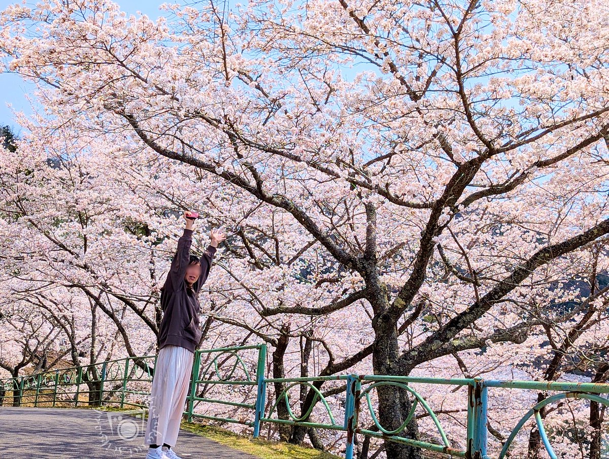 🌸🌷『華と彼女』🌸🌷

初参加な為深夜帯にこっそりと…
お手柔らかにお願いしますm(*_ _)m

<a href="/hamutohachi/">人妻ハムちゃんとはちみつ君</a>