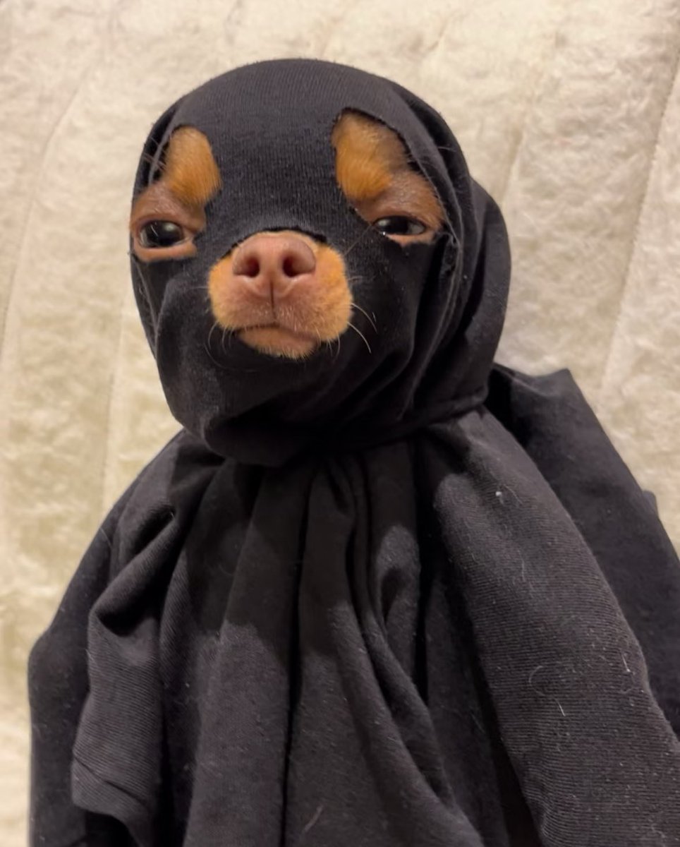 twaniimals's tweet photo. https://t.co/h74MGiKjef