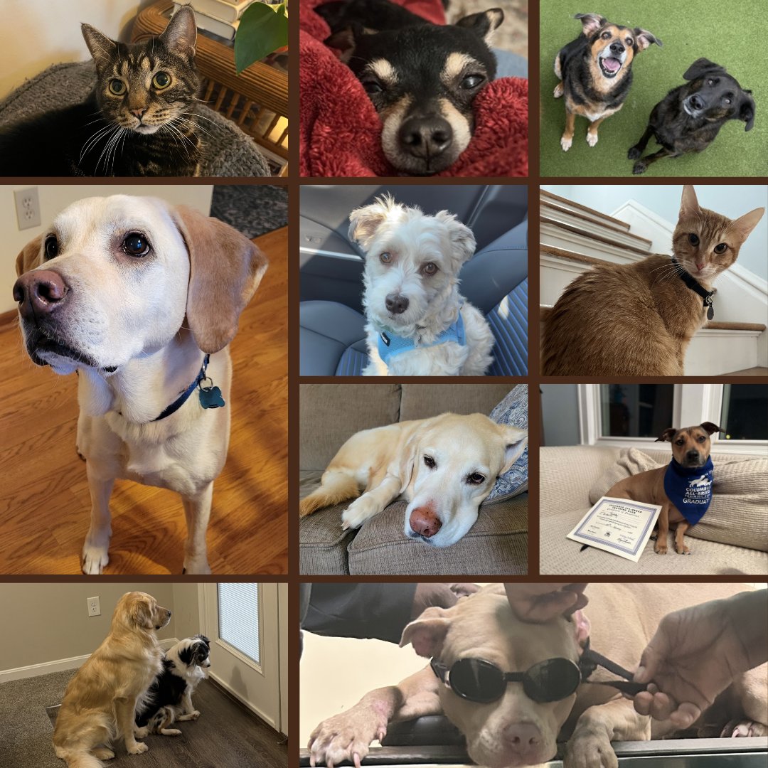 Happy National Pet Day from some of our "furry" co-workers! Give your animals some extra love today from us. Feel free to add your PAWject Managers in the comments below!