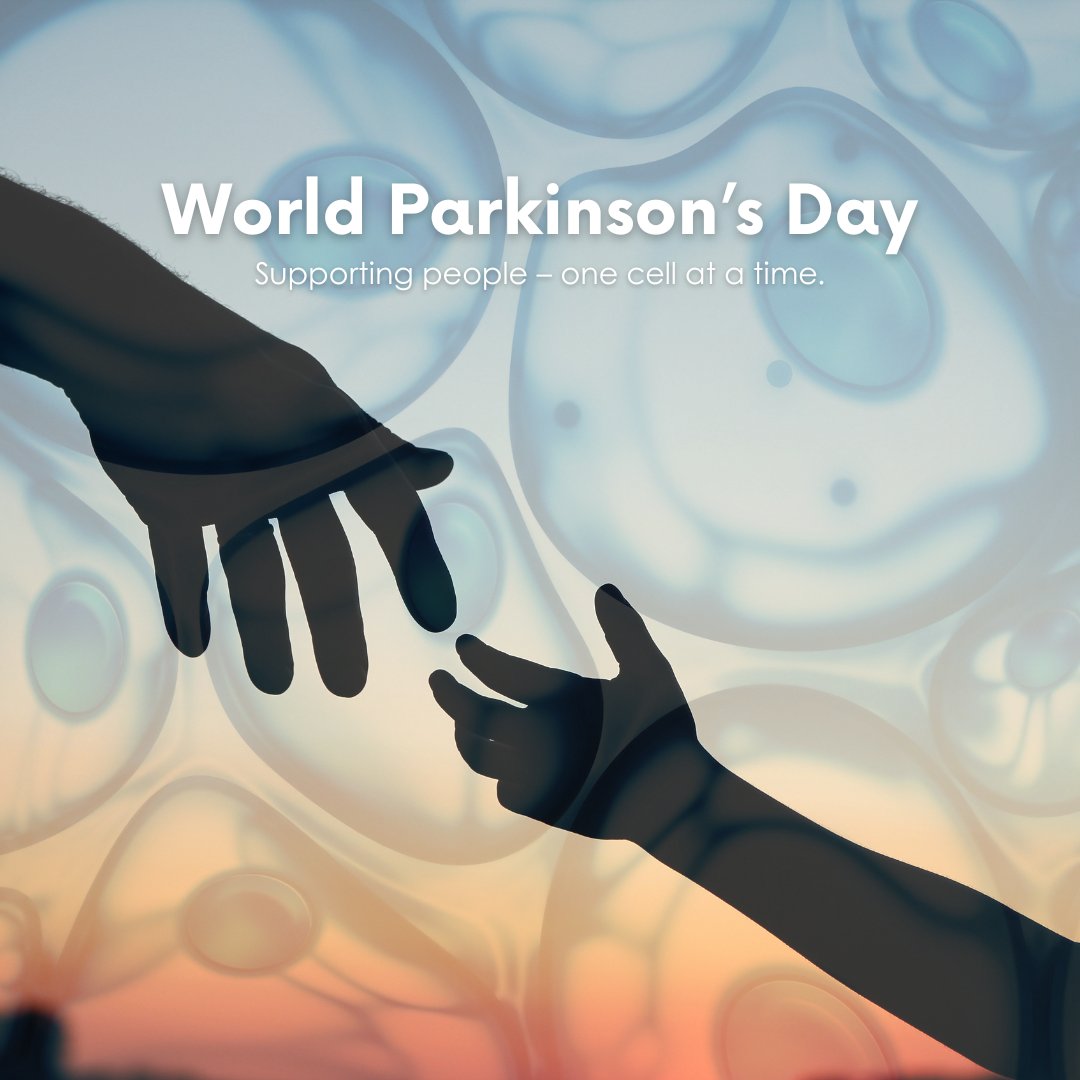 Today is World Parkinson’s Day—a moment to reflect on the challenges faced by those living with Parkinson’s disease and the work still ahead.

At BrainXell, we support research by driving therapeutic discovery with patient and control iPSC lines. From modeling disease to