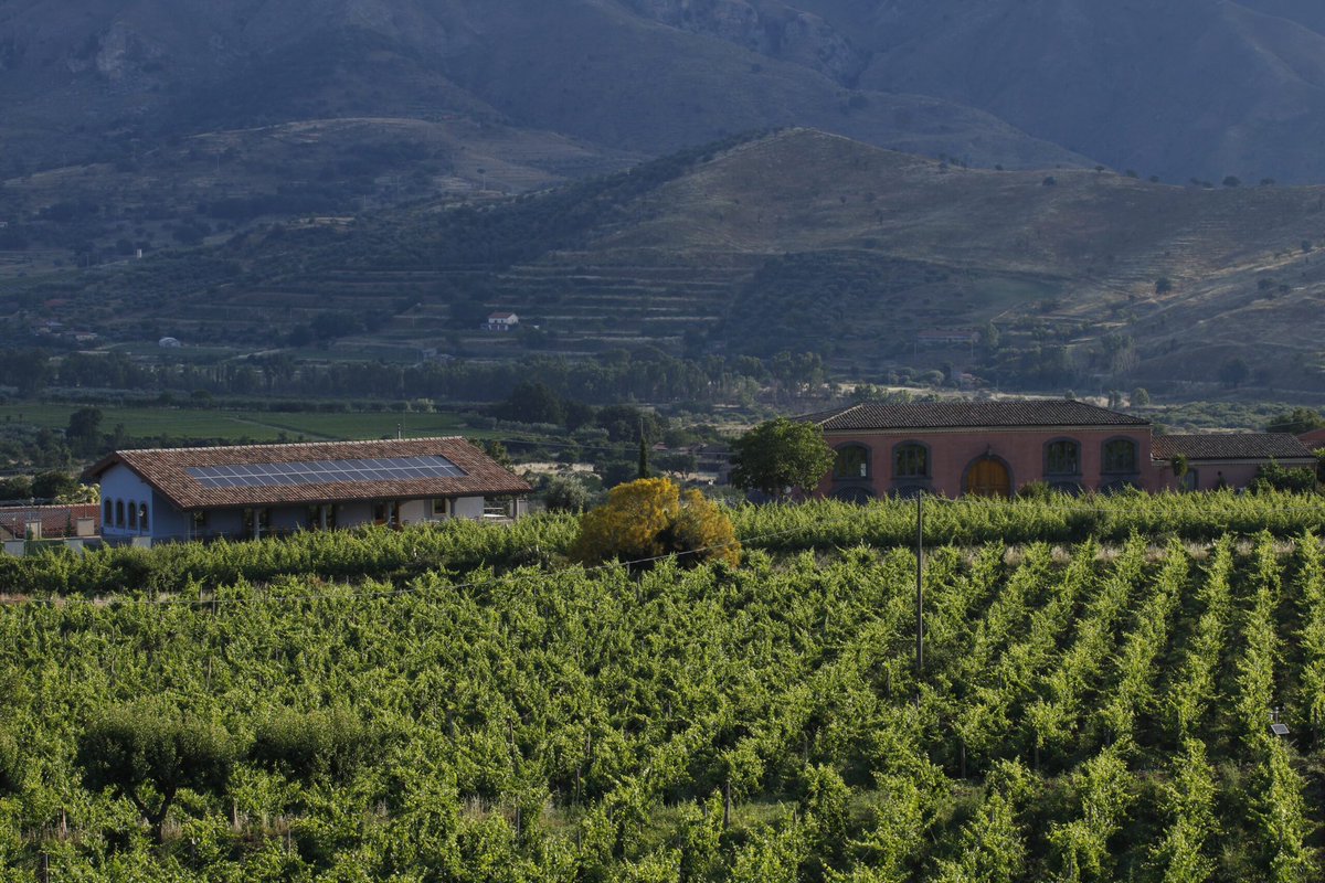 WineNewsIt's tweet image. #Frescobaldi entra (in quota di #minoranza) in #Tenuta delle #TerreNere, sull’#Etna. #LambertoFrescobaldi, a WineNews: “#MarcDeGrazia poteva farlo con chiunque, ma lo ha fatto con noi perchè c’è #amicizia e #rispetto reciproci”, winenews.it/it/frescobaldi…