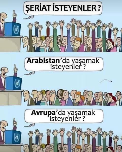 Ferhat tweet media