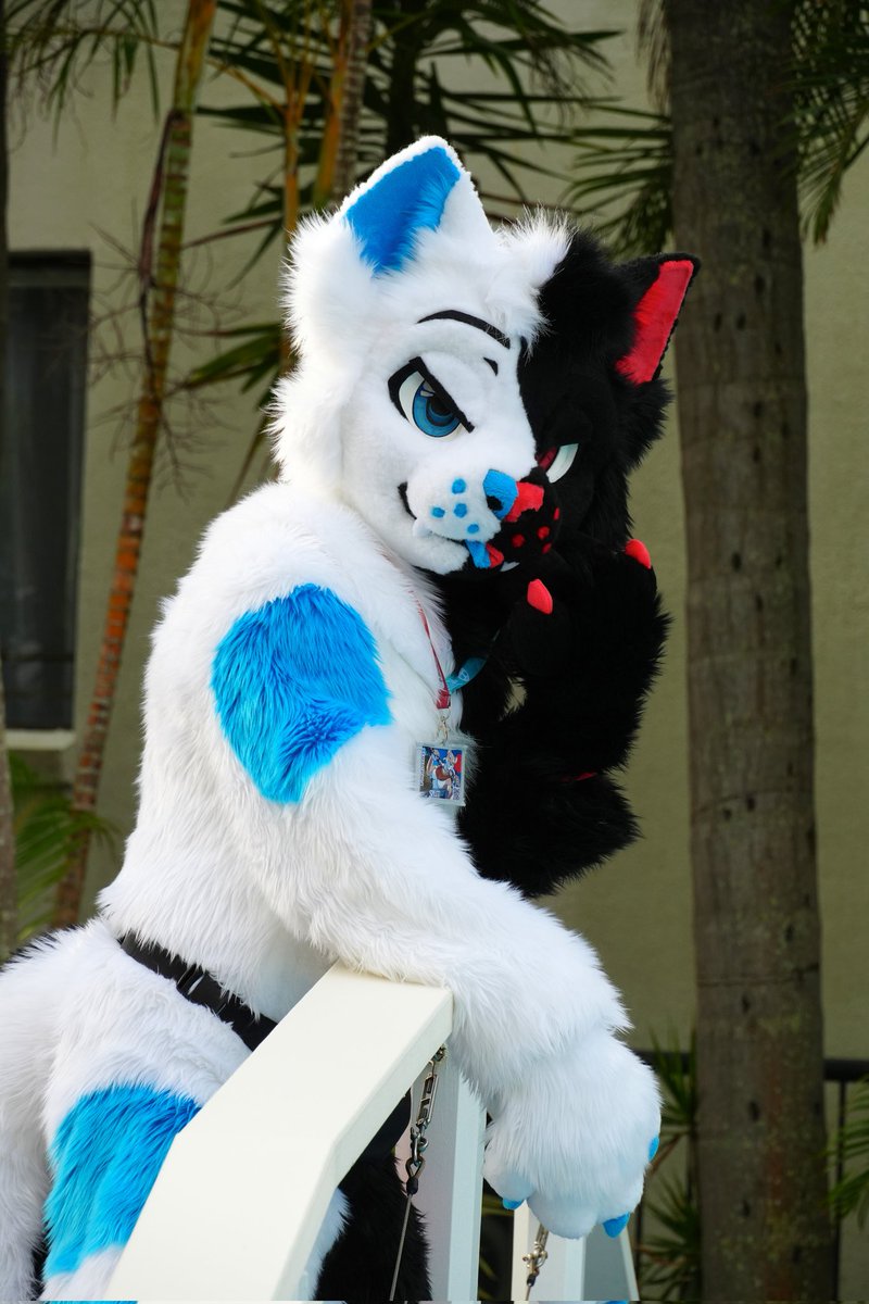 QuietProfesional tweet media