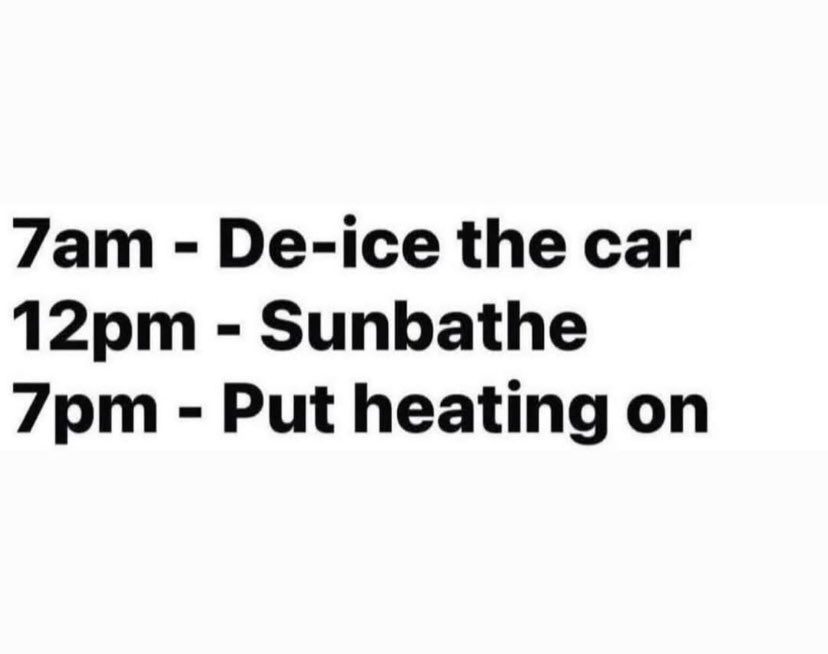 Walney Island tweet media