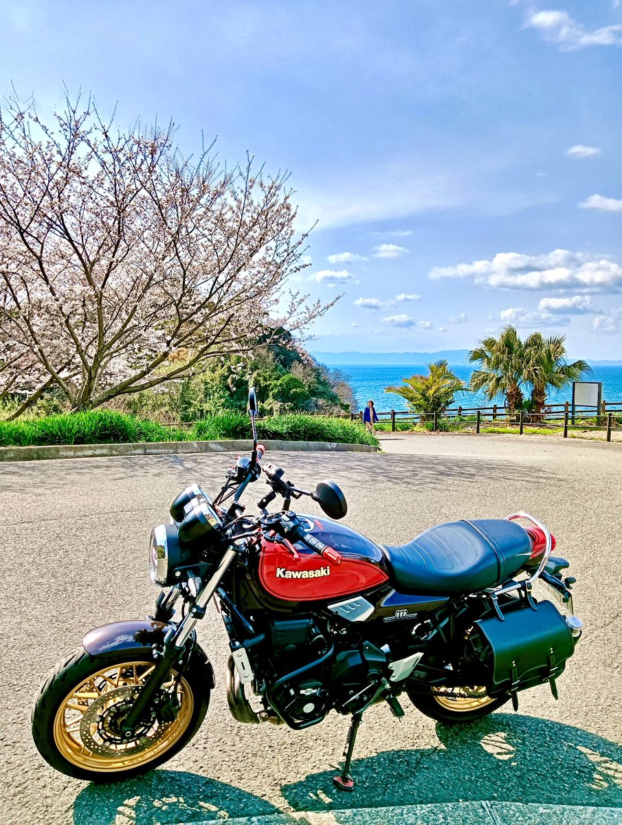 日曜日は雨☔か…
今年はこれで見納め。
