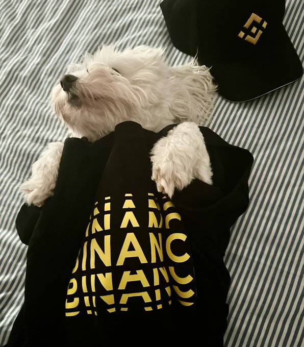 Binance Futures tweet media