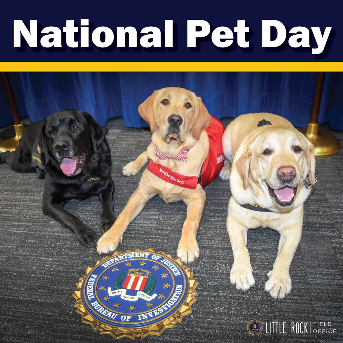 FBILittleRock's tweet photo. The FBI uses highly trained dogs to assist in case investigations, from detecting explosives and narcotics to searching for evidence and locating missing persons. These K9 teams enhance efficiency and safety, playing a crucial role in solving crimes. #FBIK9 #NationalPetDay https://t.co/b5IYsaek5m