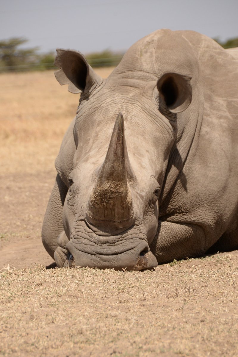 Oh hello Sunday 💤