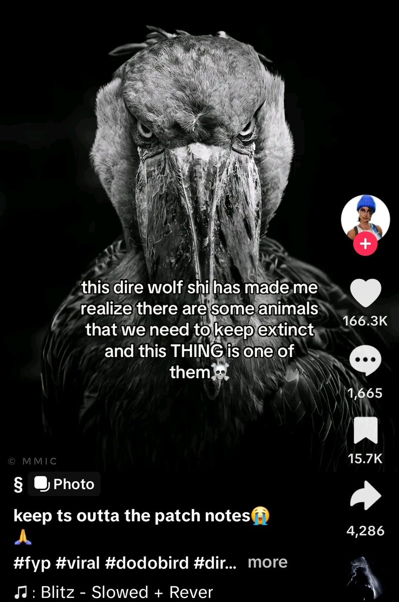 Cringe Zoology Takes tweet media