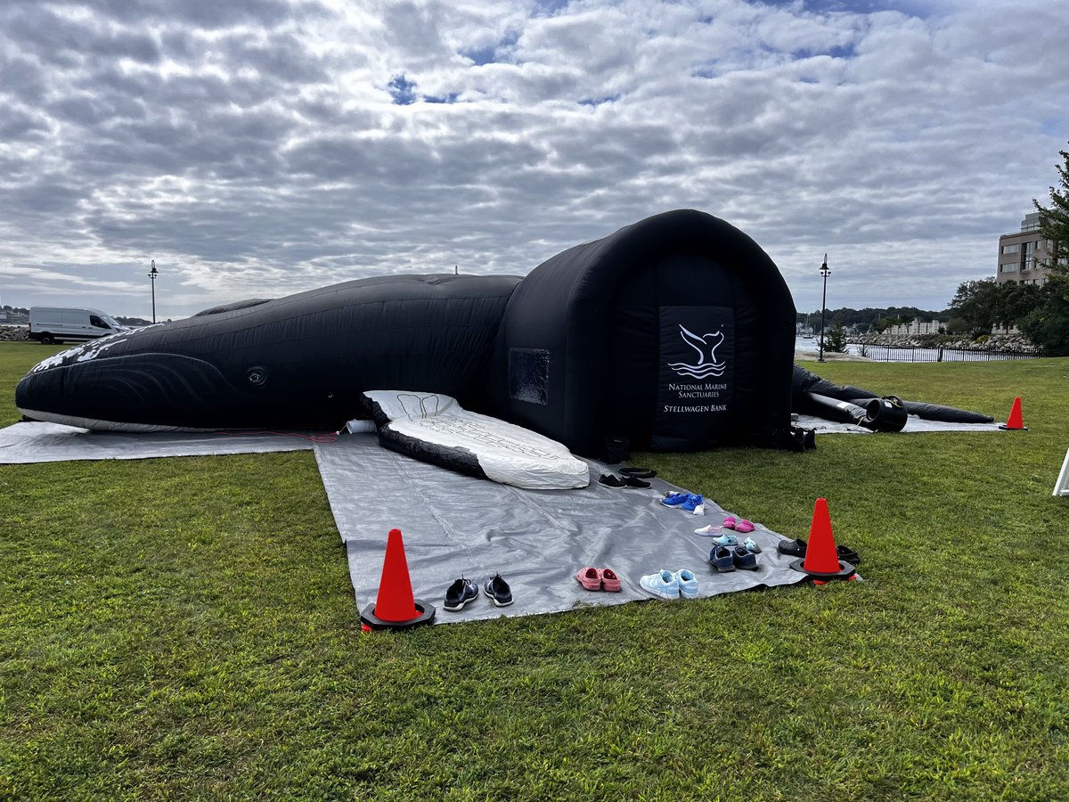 Come join us for tours of Salt the Inflatable Humpback Whale at the Plymouth Herring Run Festival! 

Herring provide a critical forage source for so many Stellwagen species!

Saturday, April 26th, 10 am - 3 pm (Rain date: April 27th)
Plymouth Grist Mill
6 Spring Lane