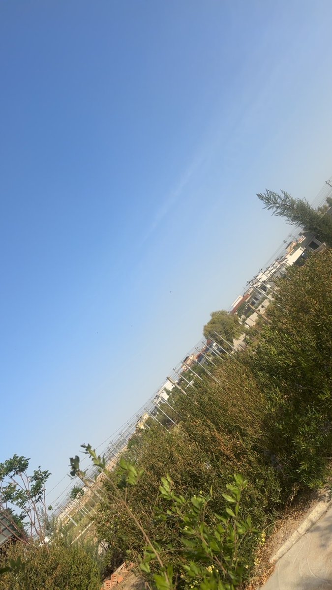 #دەلێن_بەهارهاتیە🍃🌱🌿☘️