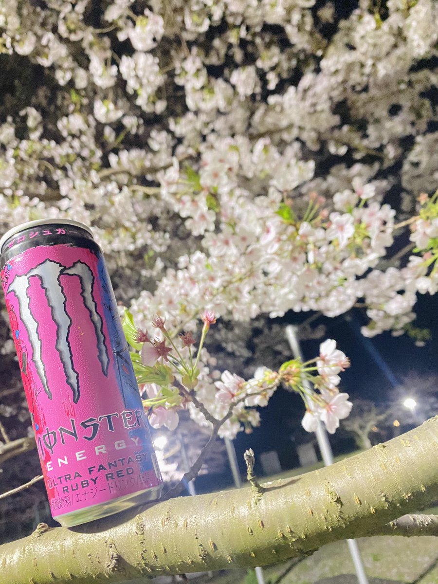 junji_energy's tweet photo. Monster ULTRA FANTASY RUBY RED🌸
今回はどうしても桜と撮りたかったんで昼間の晴天もいいかなーと思いつつも雰囲気ある夜桜と共に📸
個人的にめちゃくちゃ気に入ってる一枚☺️
#Monster
#ULTRAFANTASYRUBYRED
#energyphoto https://t.co/GphYV9Fefm