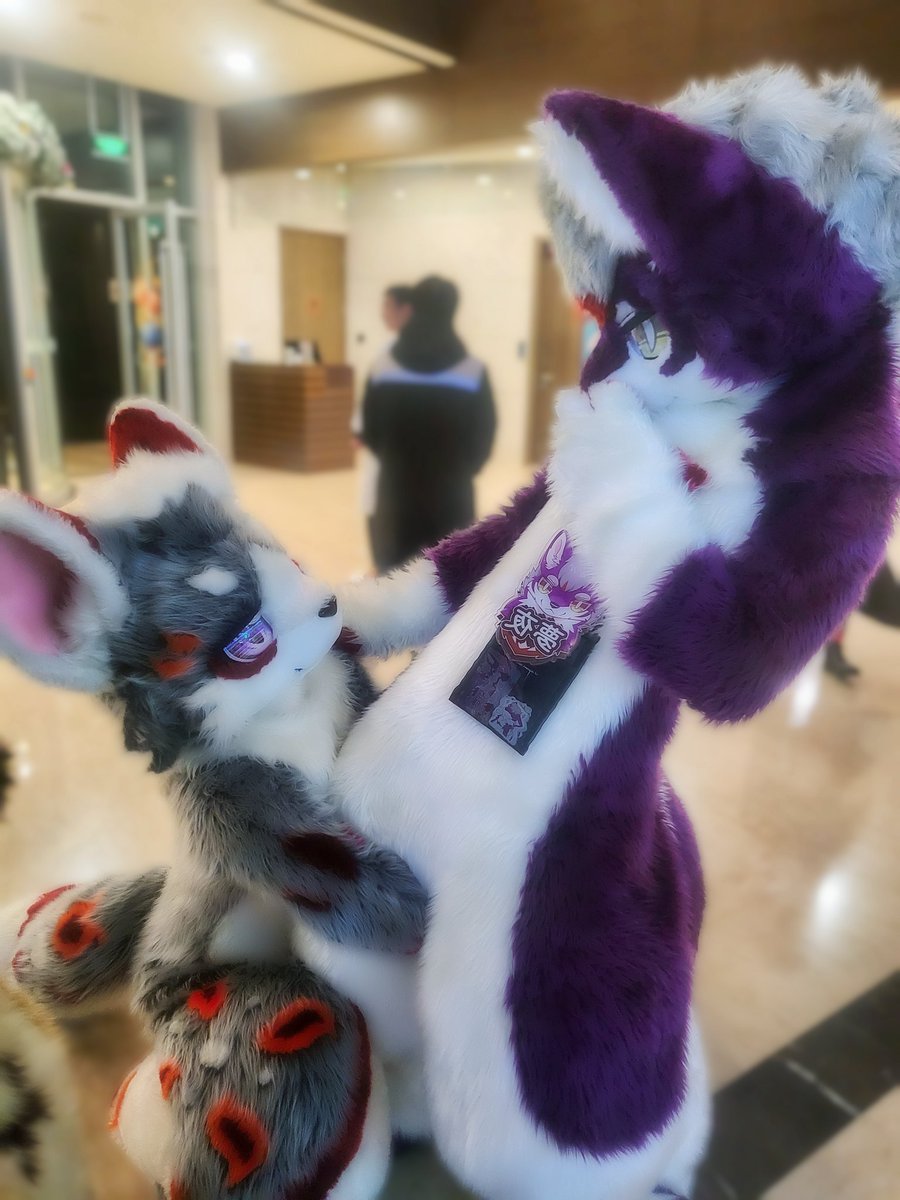 可愛狗狗求婚

📷 <a href="/FurrySky0101/">小空FurrySky→2025冬獸聚</a>

#FursuitFriday #WFF2024