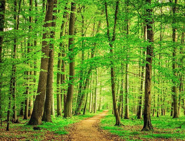 CSK in 4th Over..Maiden Wicket 😂#CSKvsKKR