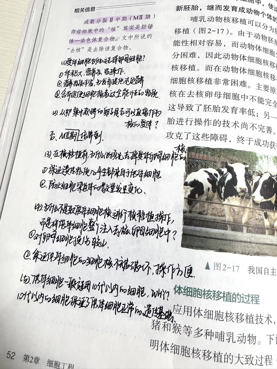 泡芙 tweet media