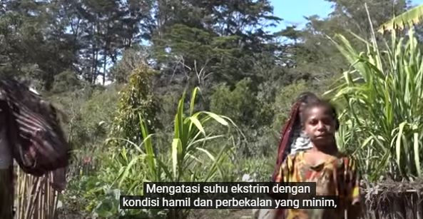 Mythicalforest's tweet photo. Pemerintah mau evakuasi warga Palestina untuk mengungsi, sementara di Papua ada ribuan pengungsi karena kontak senjata berkepanjangan

Hamil di tempat pengungsian tanpa obat-obatan yang cukup, banyak juga juga yang meninggal saat mengungsi

Pemerintah mu peduli? Gak setitik pun! https://t.co/VAmfwXJFMV