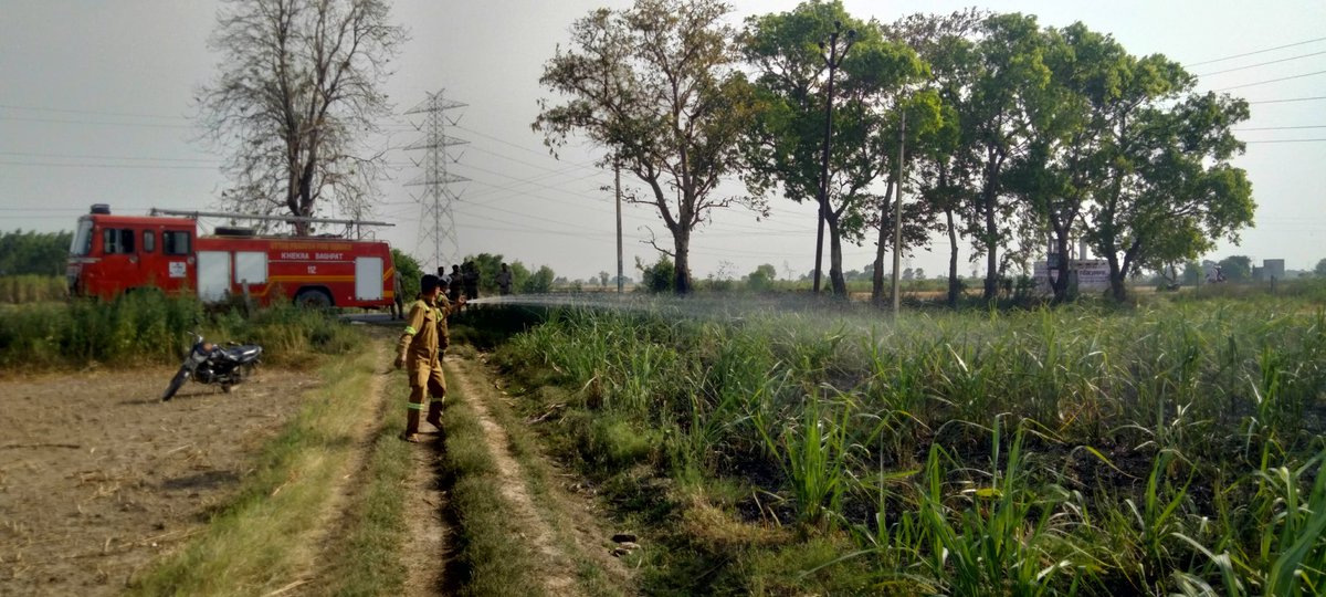 baghpat_fire's tweet photo. आज दिनांक-:11/04/2025 को जनपद बागपत के FSखेकडा क्षेत्रांतर्गत ग्राम पट्टी रामपुर मे ईंख के खेत मे लगी आग को फायर यूनिट खेकडा द्वारा कडी मशक्कत कर चारो ओर से घेरकर पूर्णरूप से बुझाया गया। https://t.co/JyupxBSs6Y