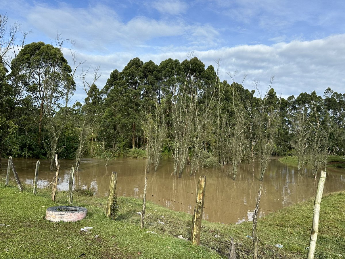 MarioQuijano79's tweet photo. ¿Que se salió el Río? Los ríos se desbordan, hace parte de su naturaleza, un aspecto que no hemos podido aprender a respetar. Necesitamos más rondas hídricas para nuestro Río Negro de otra forma él las reclamará. #parelebolasalnegro @uconiano @cornare @AlcRionegro @MiOriente https://t.co/gpif7sq3YW