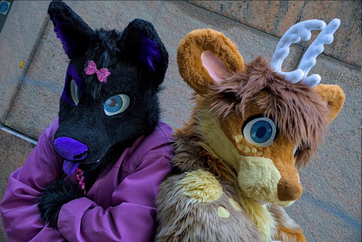 Nai π CFZ#827 (@naicoleptic) on Twitter photo Oh no!! A pair of cuties are blocking your path this #fursuitfriday. What do you do?
πͺ‘- <a href="/Minimoise3/">Popcorn Mini</a>
πΊ- <a href="/Ty_Wuff/">Tyler Wolfdog π CFz #400</a> Oh no!! A pair of cuties are blocking your path this #fursuitfriday. What do you do?
πͺ‘- <a href="/Minimoise3/">Popcorn Mini</a>
πΊ- <a href="/Ty_Wuff/">Tyler Wolfdog π CFz #400</a>