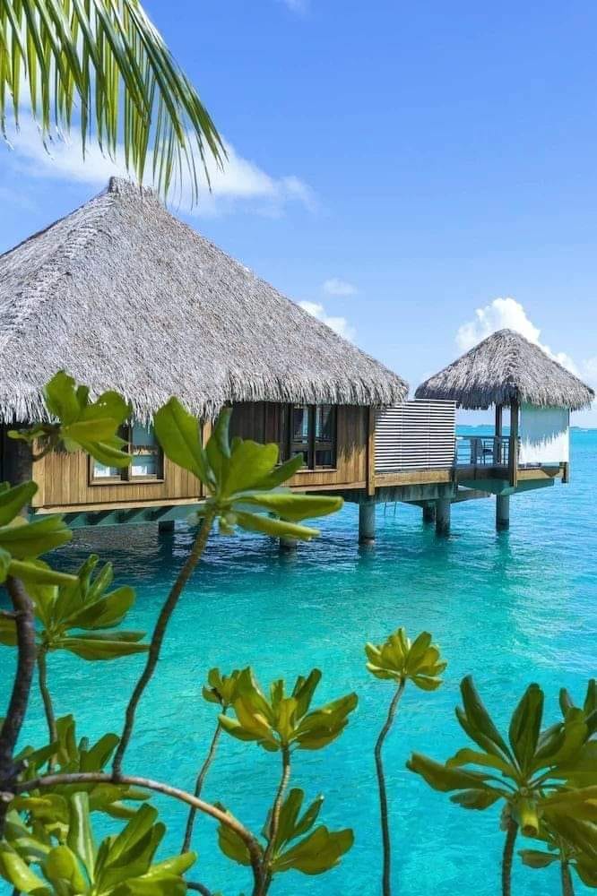 The St. Regis Bora Bora Resort