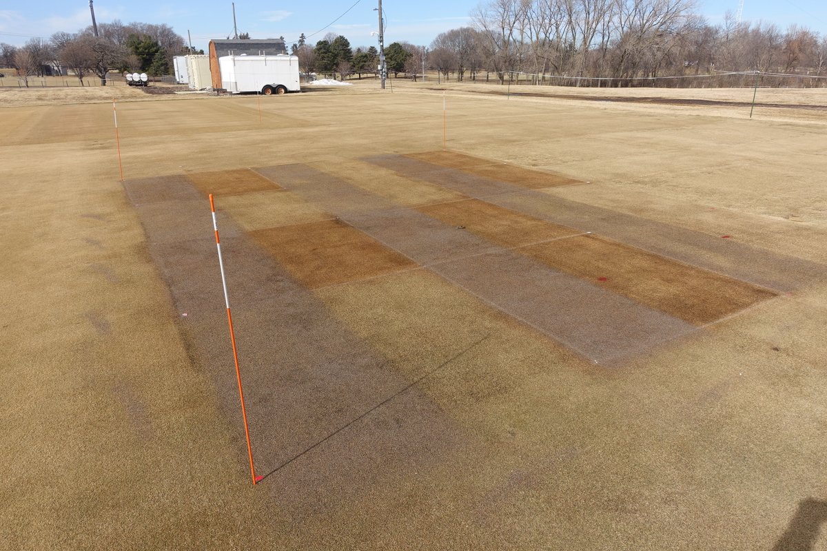 Check out our latest blog post: Investigating dormant seeding for converting putting greens to new cultivars by Andrew Hollman!

turf.umn.edu/investigating-…