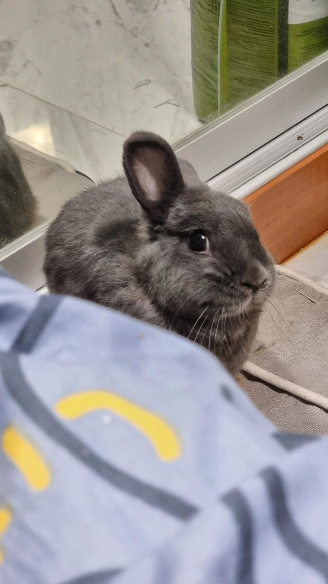 Curse鬼 tweet media