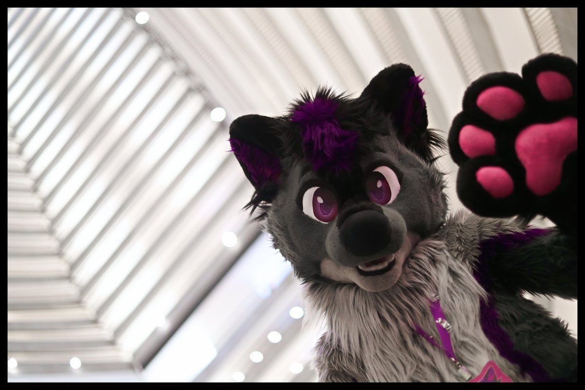 Valckan 🔜 FWA (@valckan) on Twitter photo It’s a busy #FursuitFriday for me, hope you all have a great weekend. I’m so ready to see everyone at FWA in a month! 
📸  <a href="/iBolt07/">Iaran FC</a> 
🪡 <a href="/Fullmoonspecial/">✨Full Moon Special✨</a> It’s a busy #FursuitFriday for me, hope you all have a great weekend. I’m so ready to see everyone at FWA in a month! 
📸  <a href="/iBolt07/">Iaran FC</a> 
🪡 <a href="/Fullmoonspecial/">✨Full Moon Special✨</a>