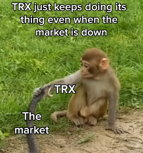 #TRX chillin at $0.22-$0.25, doin its own thing 😎

While other cryptos crash to pre-bull lows 

TRX stays unfazed. <a href="/trondao/">TRON DAO</a> keeps building

This meme nails it, TRX is just built different!