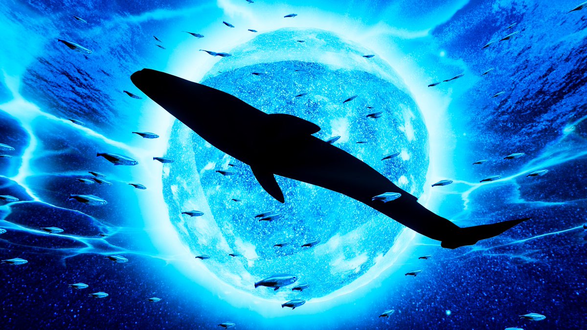 acaraje_vrc's tweet image. World: Underwater School
By Nemuchiko
#VRChat #VRChat_world紹介 #VRChatPhotography #VirtualPhotography