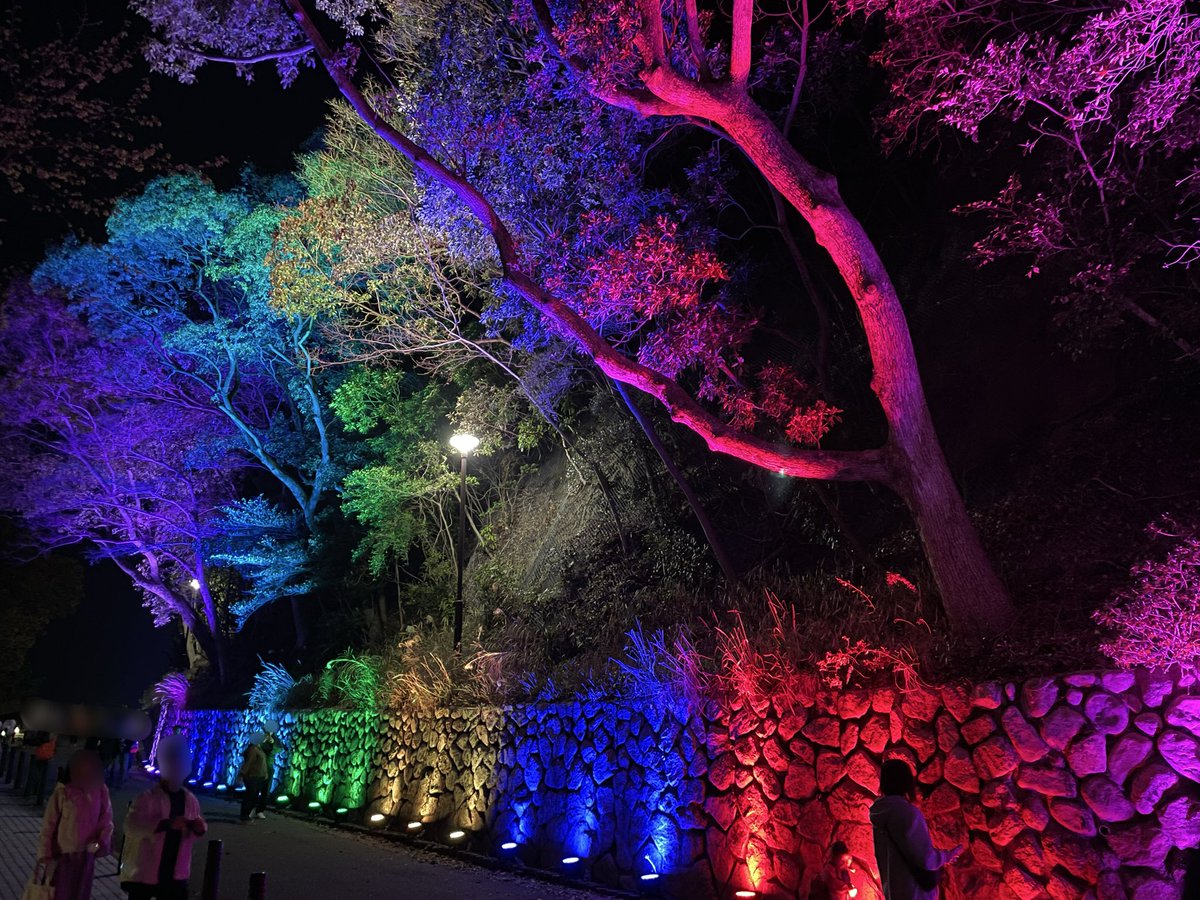 seikaitube's tweet photo. 本日も夜桜へ^ ^
毎年のことですが素敵でした！

#敦盛桜 
#須磨浦公園 https://t.co/fqhkKY5iR2
