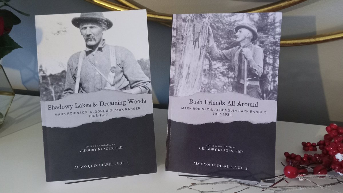 Mark Robinson tweet media