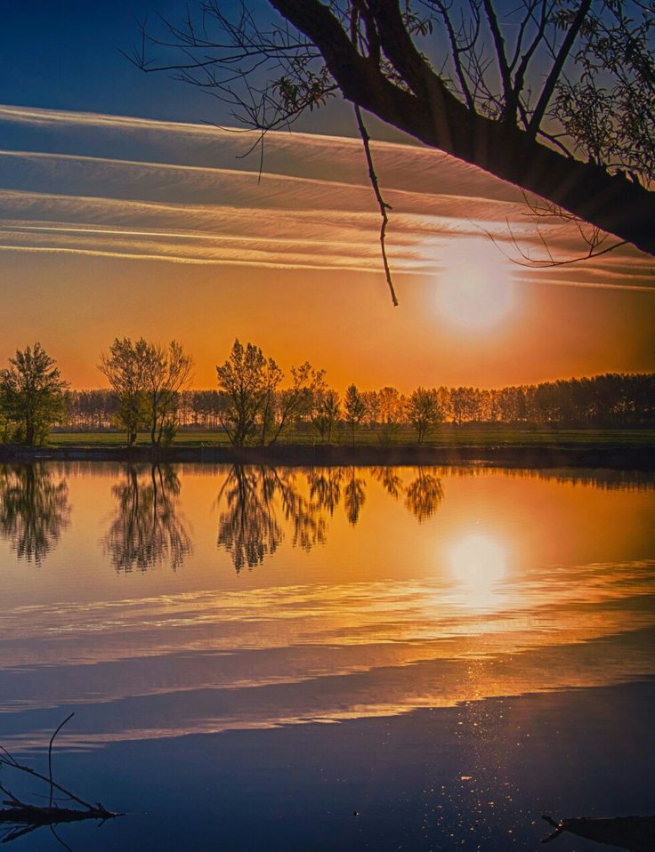Natute123's tweet photo. Sunset https://t.co/NXCtv7XX5u