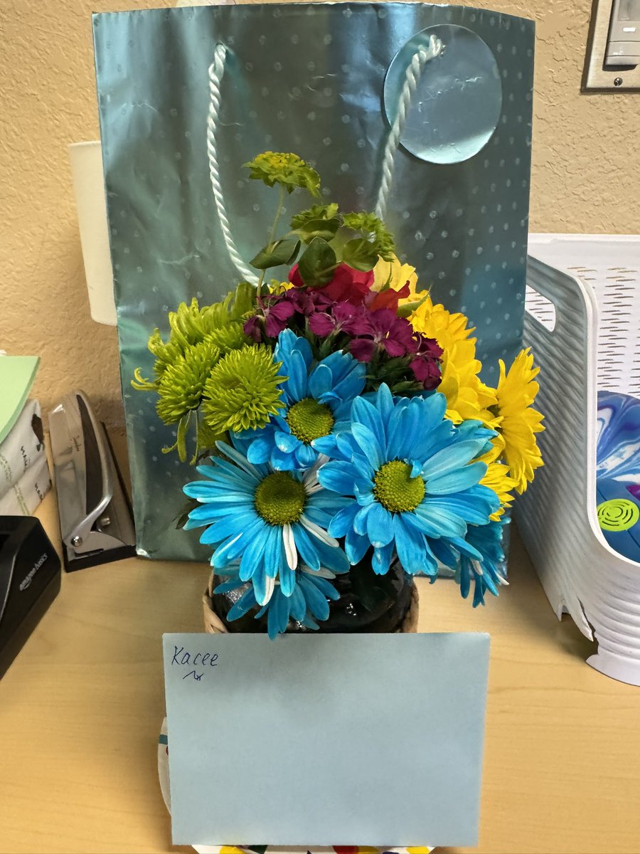 Palmetto Elementary (@plegators) on Twitter photo We appreciate our amazing AP, Kacee Farrar. Happy National AP Appreciation week!! β€οΈ <a href="/collierschools/">Collier County Public Schools</a> We appreciate our amazing AP, Kacee Farrar. Happy National AP Appreciation week!! β€οΈ <a href="/collierschools/">Collier County Public Schools</a>
