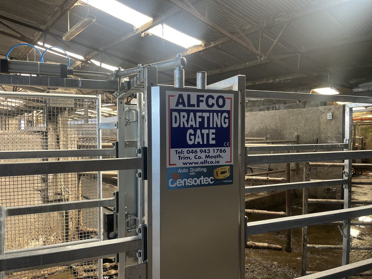 Get it in get cows trained and get breeding <a href="/DeclanFowley/">Declan Fowley</a> #deadline