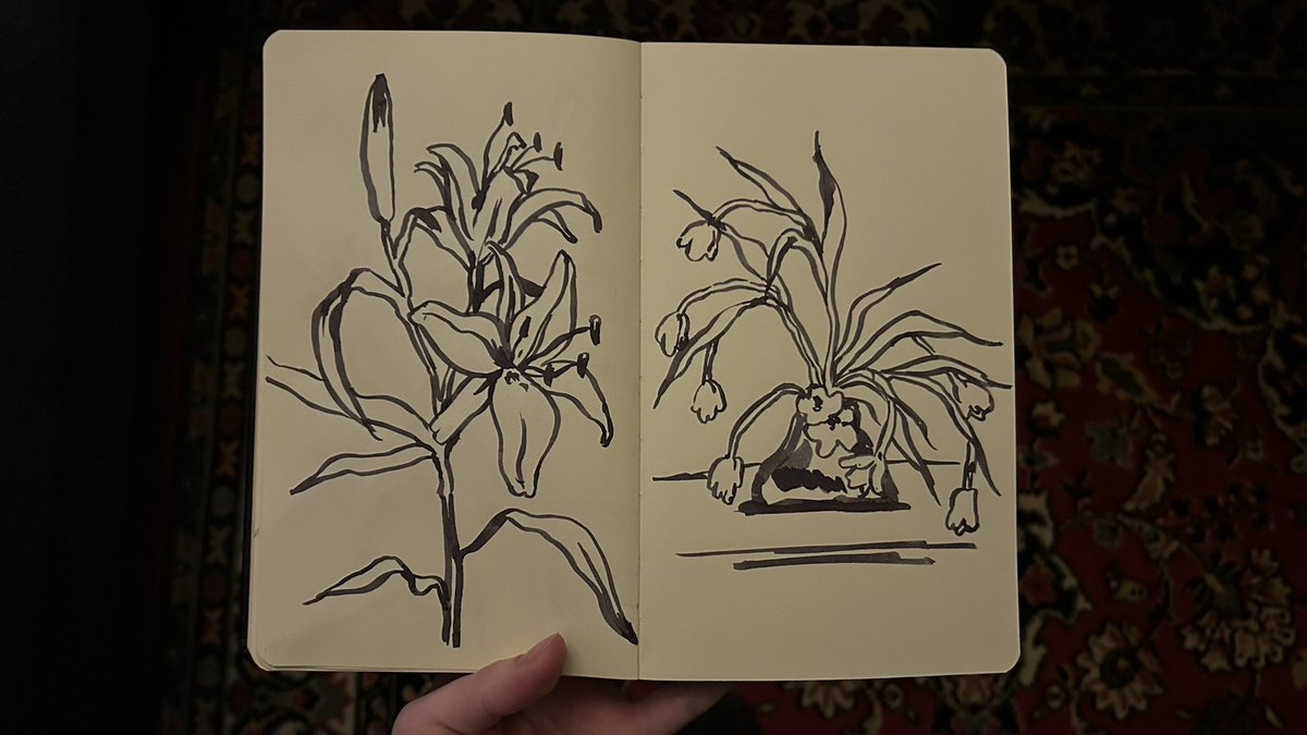 cherry! (@cherrysoda049) on Twitter photo 