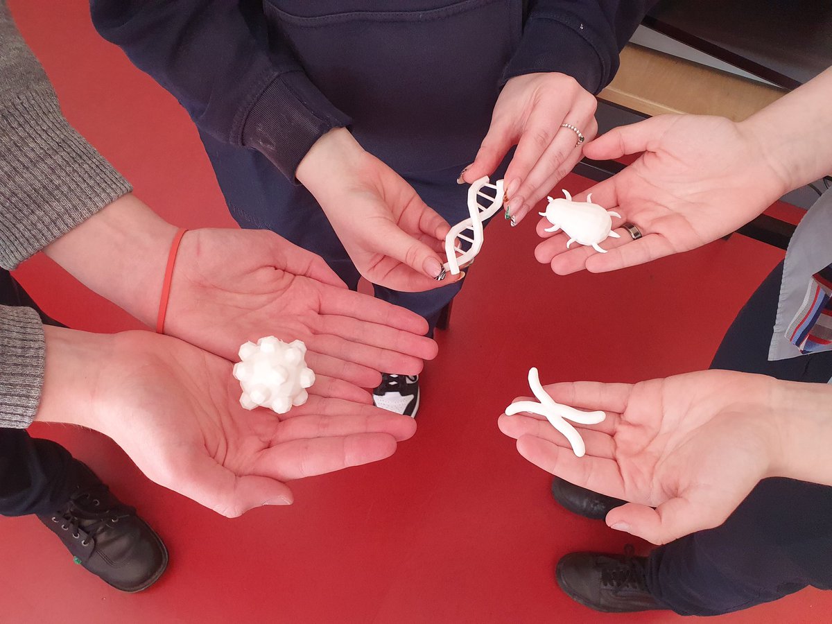 Coláiste Daibhéid tweet media