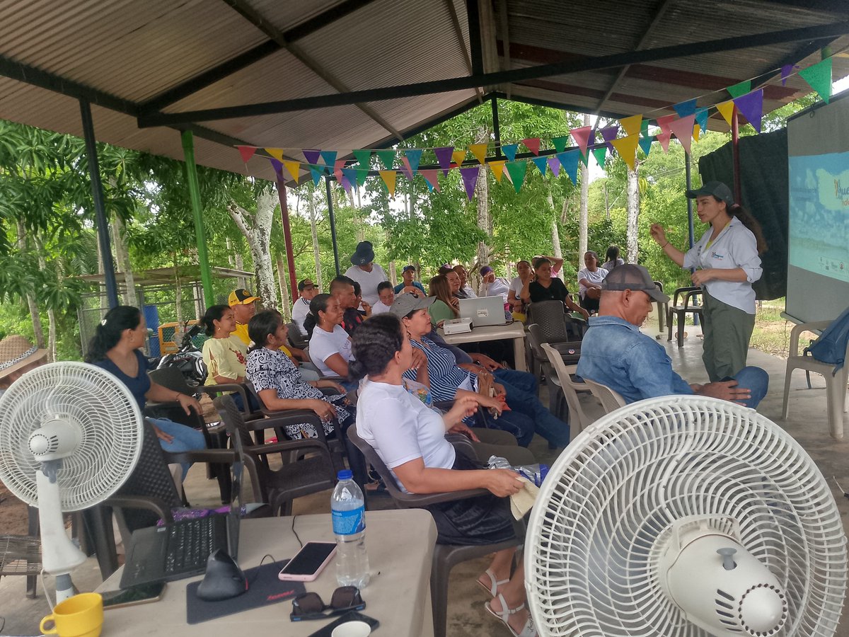 fconvida's tweet photo. 🦋 ¡Inicia la segunda fase de #BosquesConAlasdeYondó  
Las 70 familias del componente de zoocría de mariposas renuevan su compromiso con la conservación.
 Junto a #ASOPESCA avanzamos en formación, acuerdos y sostenibilidad. Gracias al apoyo de @Col_Sostenible1 y @fcolombiaenpaz https://t.co/bU13VN4Epb