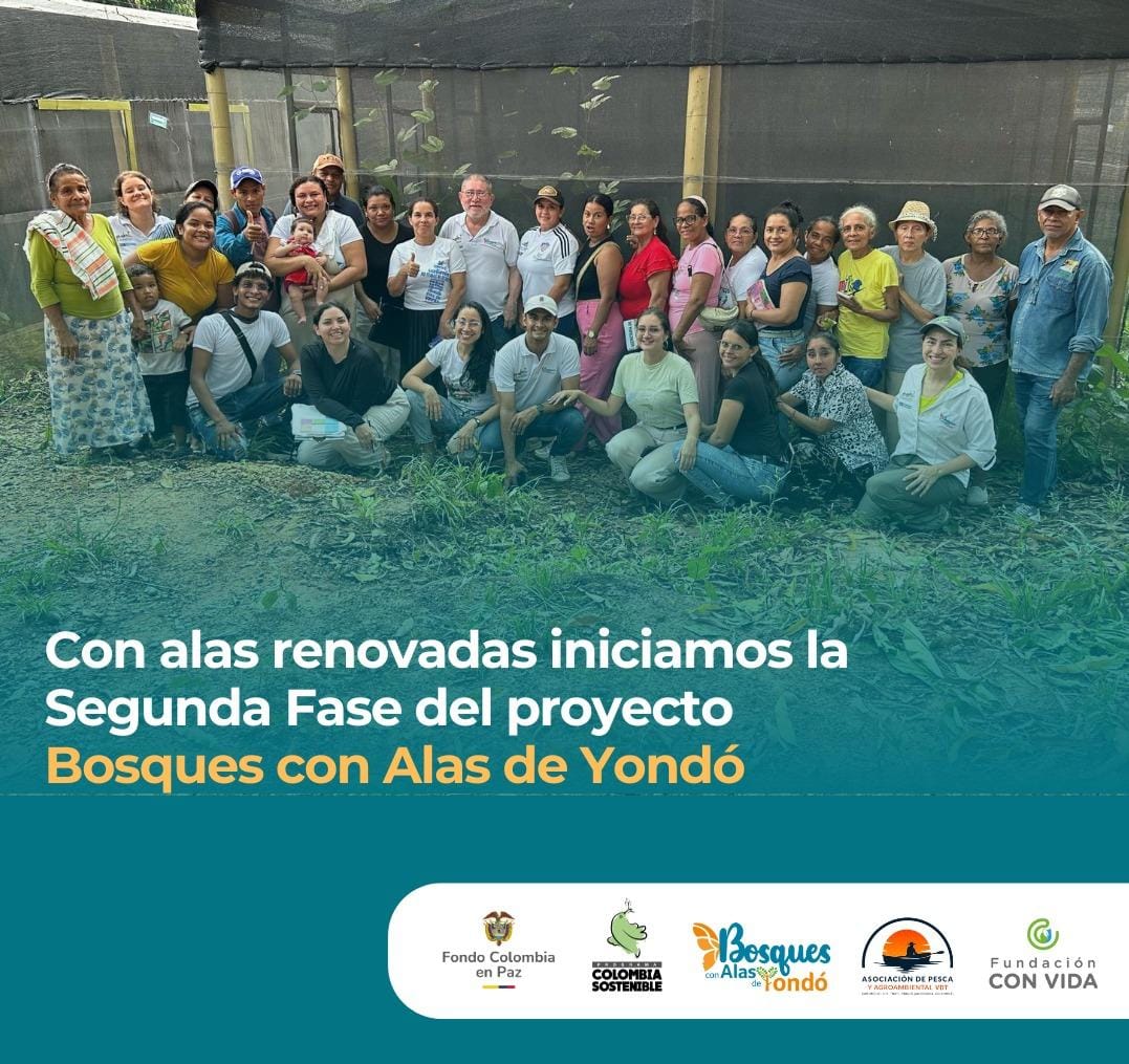 fconvida's tweet photo. 🦋 ¡Inicia la segunda fase de #BosquesConAlasdeYondó  
Las 70 familias del componente de zoocría de mariposas renuevan su compromiso con la conservación.
 Junto a #ASOPESCA avanzamos en formación, acuerdos y sostenibilidad. Gracias al apoyo de @Col_Sostenible1 y @fcolombiaenpaz https://t.co/bU13VN4Epb