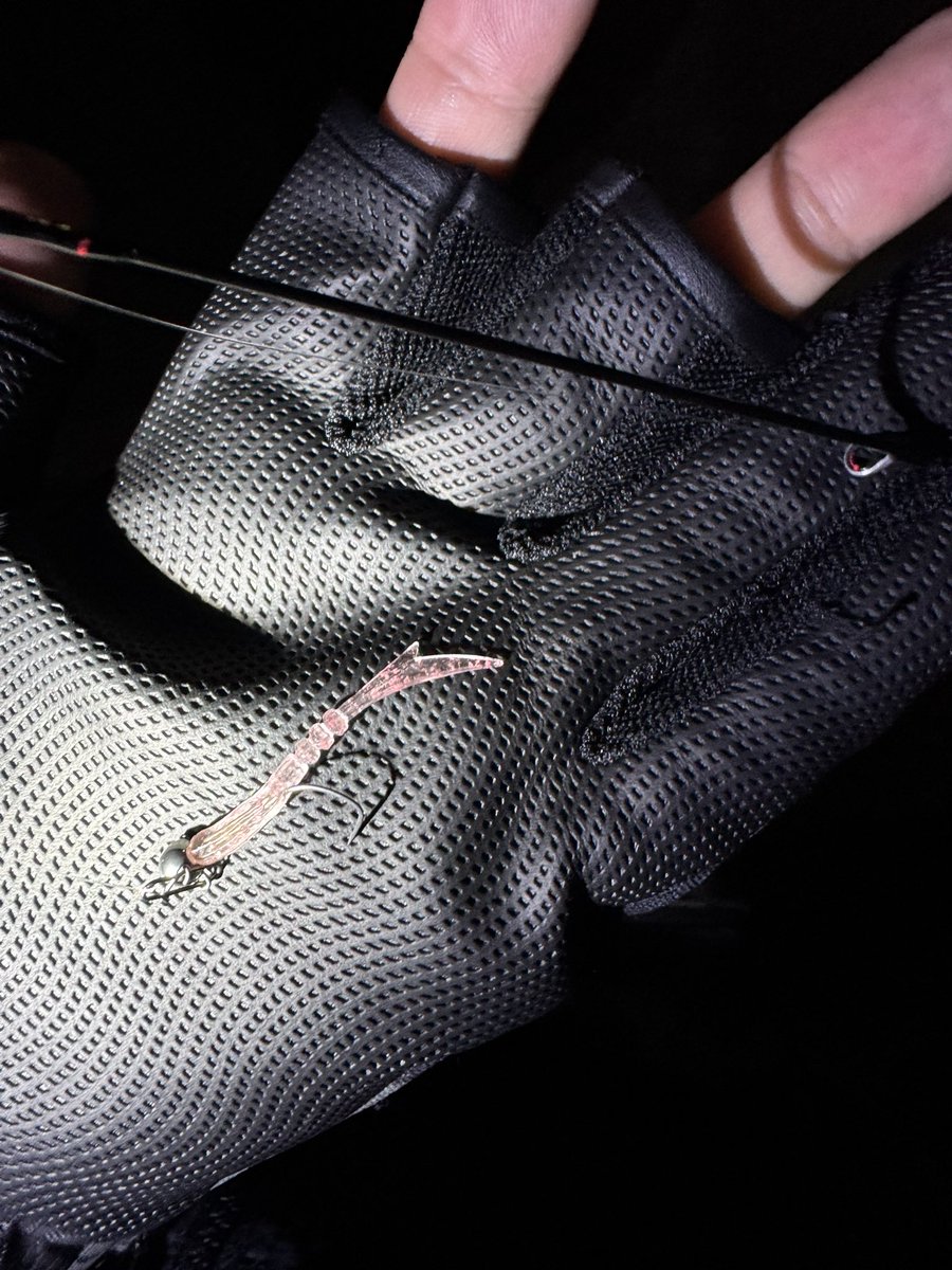 リチャサワー (@___p_sour7) on Twitter photo 