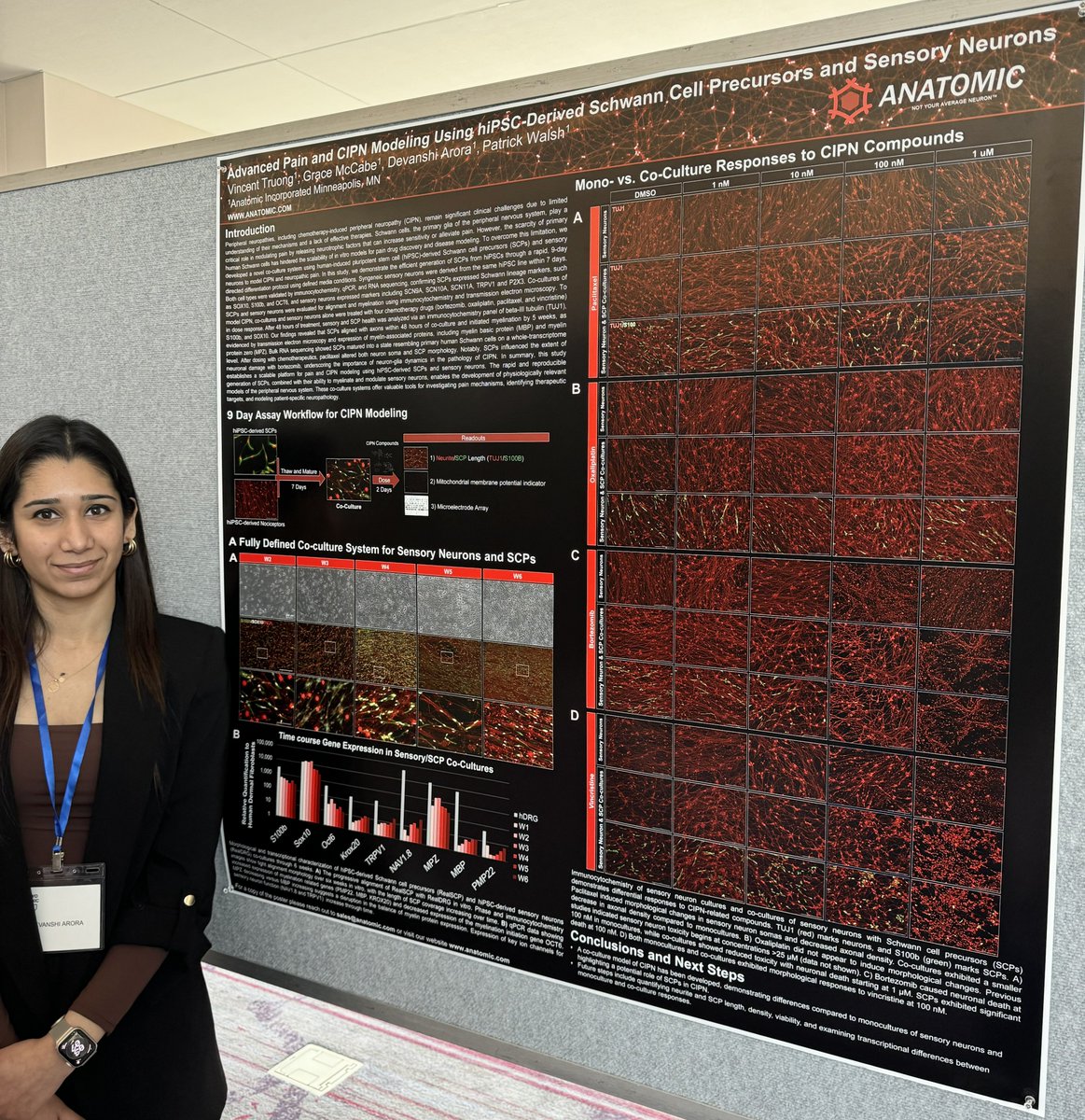 AnatomicTech's tweet image. Keepin it local🤙🏼Attended the 3rd MN Organoid Symposium put on by the @umnmedschool &amp;amp; @MayoClinic earlier this week. Big shoutout to our Scitech intern Devanshi who gave her first poster presentation! Reach out to learn more about applications in this space➡️support@anatomic.com